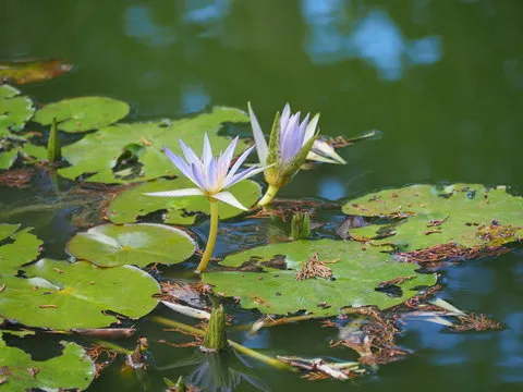 联系与提示示意图